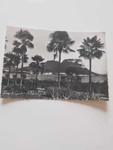 AK Lago di Garda. Palme a Garda.