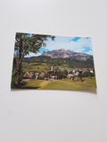 AK Cortina d'Ampezzo.