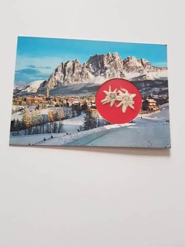 AK Cortina d'Ampezzo. (mit Enzian)
