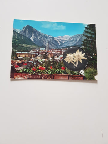 AK Cortina d'Ampezzo. (mit Enzian)