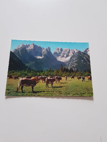 AK Piz Popena e Monte Cristallo.