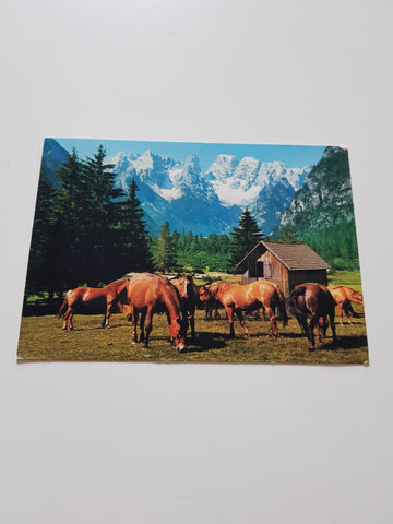 AK Monte Cristallo vers. nord.