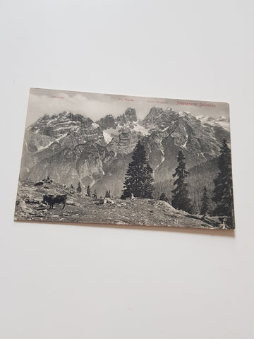 AK Ampezzaner-Dolomiten. Monte Cristallo.