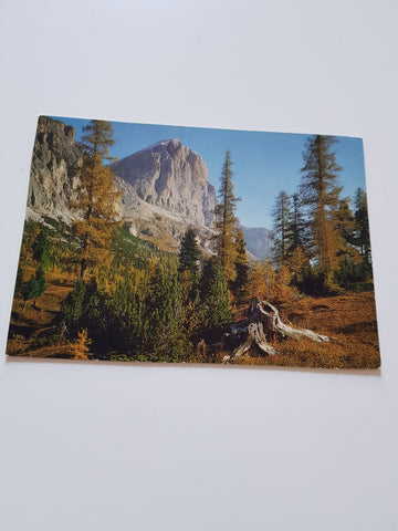 AK Tofana vom Falzaregopaß. Dolomiti.