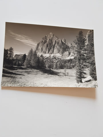 AK Tofana di Rozes Cortina.