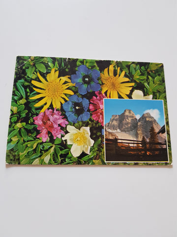 AK Monte Pelmo. Flora delle Dolomiti.