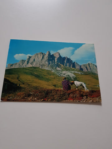 AK Dolomiti in Provincia di Belluno. Settsass.