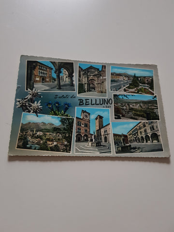 AK Belluno.