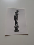 AK Belluno - Museo Civico. Alessandro Vittoria: Venere in piedi sul delfino.