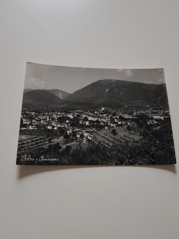 AK Feltre. Panorama.