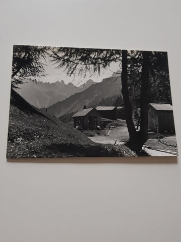 AK Lorenzago di Cadore. Passo della Mauria.