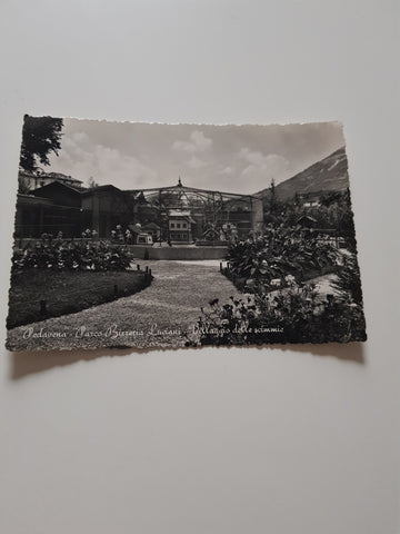 AK Pedavena. Parco Birreria Luciani Villaggio delle scimmie.