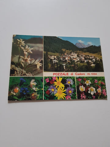AK Pozzale di Cadore.