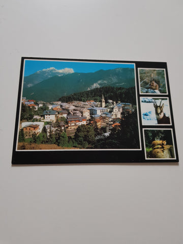 AK Pieve di Cadore.