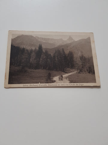 AK Selva. Forcella. Staulanza con Croda da Lago.