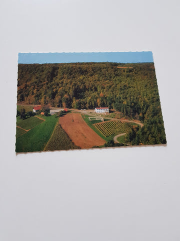 AK St. Anna am Aigen. Fliegeraufnahme Grenzlandhof.