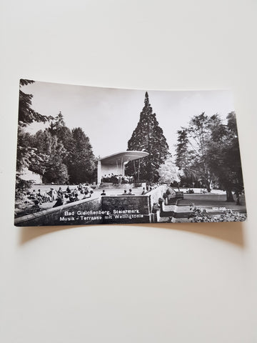 AK Bad Gleichenberg. Musik Terrasse mit Wellingtonia.