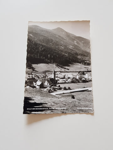 AK Wald am Schoberpaß.