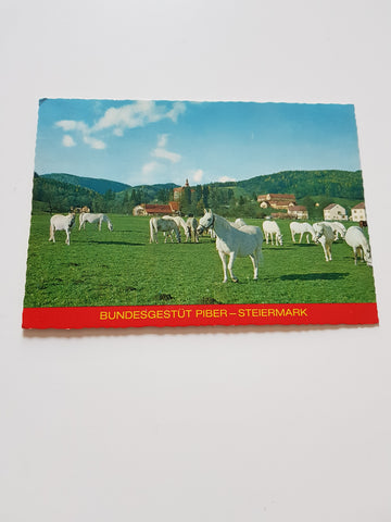 AK Piber. Bundesgestüt, Schloß.