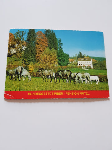 AK Piber. Bundesgestüt, Schloß.