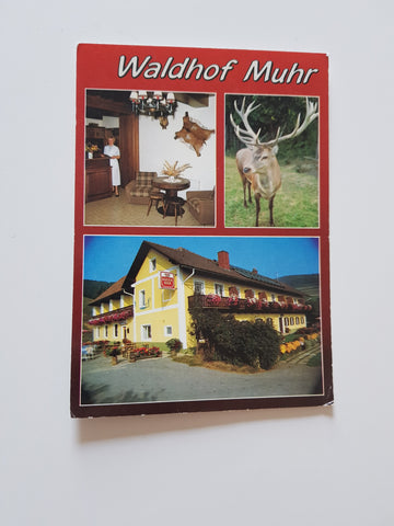 AK Zeiß-Pöllauberg 46. Gasthof und Pension Erich Muhr.