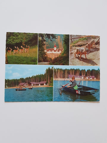 AK Herberstein. Schloß. Tierpark. Stubenbergsee.