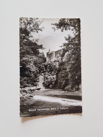 AK Schloss Herberstein. Blick v. Tierpark.