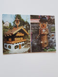AK Waldbach. Alpengarten-Wasserspiele A. u. F. Wiedner. Arzberg 43.