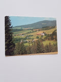 AK Mönichwald. Gasthof Pension Schwengerer und Frühstückspension Wiedner.