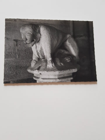 AK Benediktinerabtei Seckau. Portallöwe der Basilika.