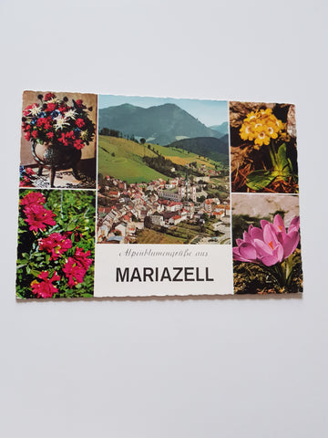 AK Alpenblumengrüße aus Mariazell.