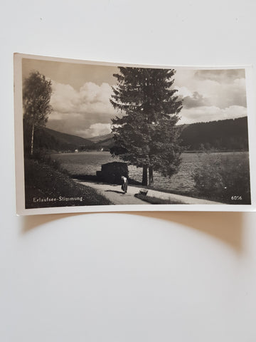 AK Erlaufsee-Stimmung. (1941)