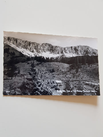 AK Brunnalm mit Hoher Veitsch. (1969)