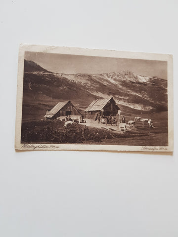 AK Windberghütten. Schneealpe. (1923)