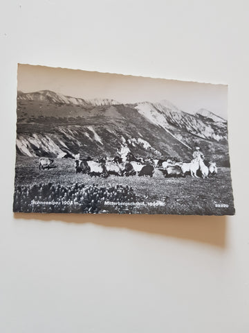 AK Schneealpe. Mitterbergschneid. (1968)