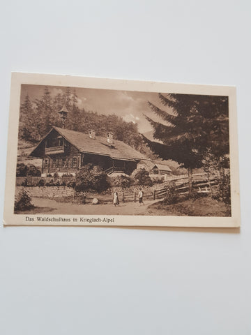 AK Das Waldschulhaus in Krieglach-Alpl.