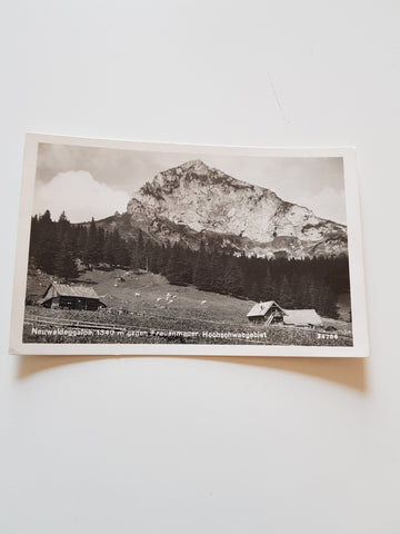 AK Neuwaldeggalpe gegen Frauenmauer Hochschwabgebiet.