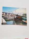 AK Grado. Porto.