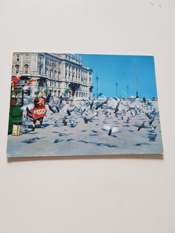 AK Trieste. Scorcio di Piazza Unita d'Italia.