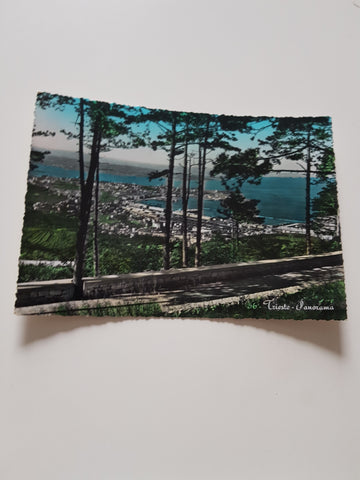 AK Trieste. Panorama.