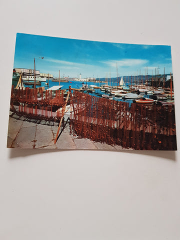 AK Trieste. Sacchetta.