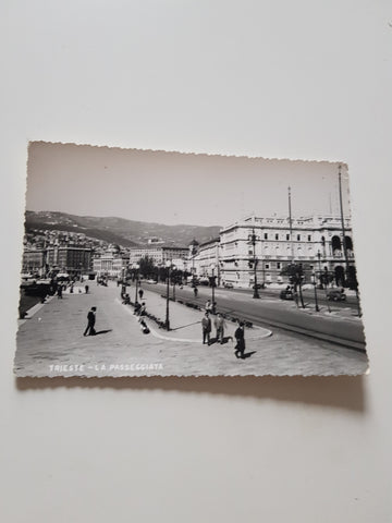 AK Trieste La Passeggiata.