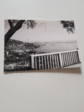 AK Trieste. Panorama.