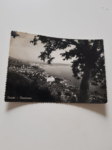 AK Trieste. Panorama.