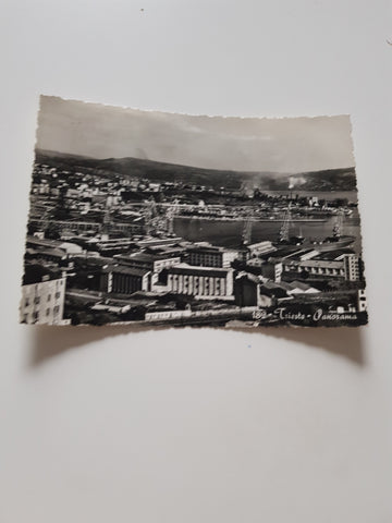 AK Trieste - Panorama.