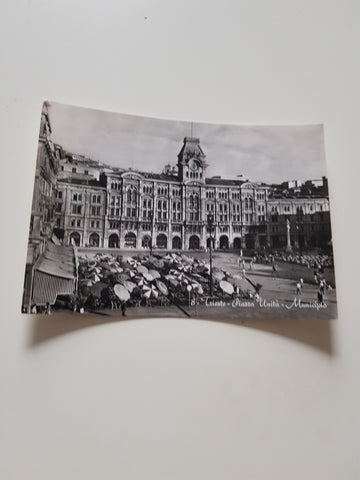 AK Trieste - Piazza Unita Municipio.