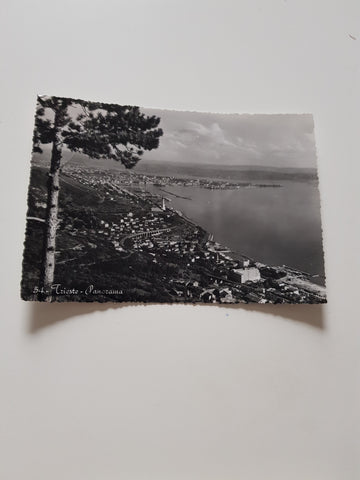AK Trieste - Panorama.