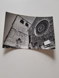 AK Trieste. La Cattedrale di San Giusto.