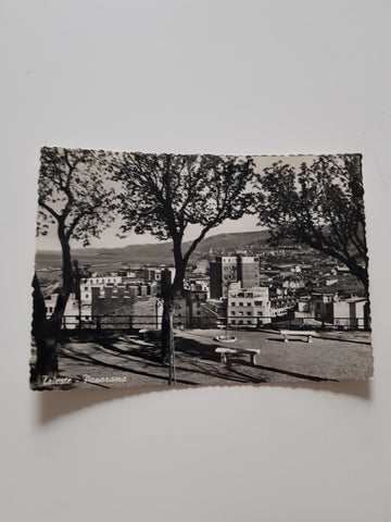 AK Trieste. Panorama.