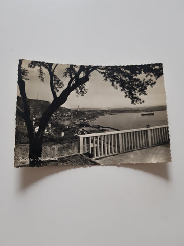 AK Trieste. Panorama.